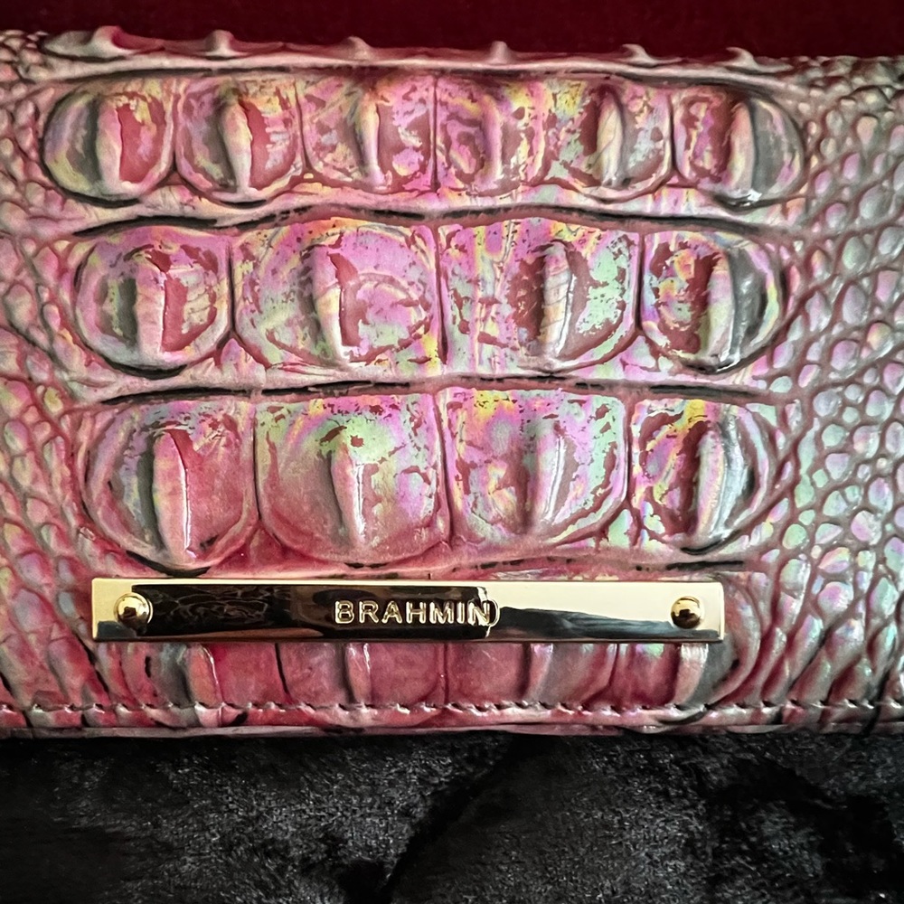 Brahmin Ady wallet